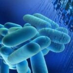 ЛЕГІОНЕЛЬЗ (хвороба легіонерів)